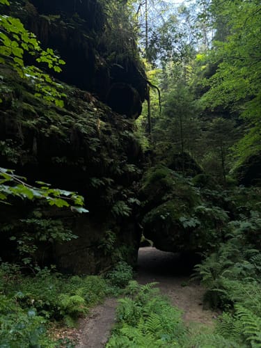 Durch den Uttewalder Grund zum Teufelsgrund