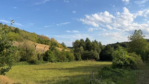 Stein, Wein & Farbe (VitalTour)