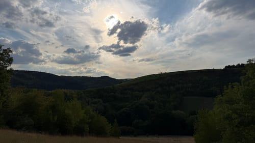 Stein, Wein & Farbe (VitalTour)