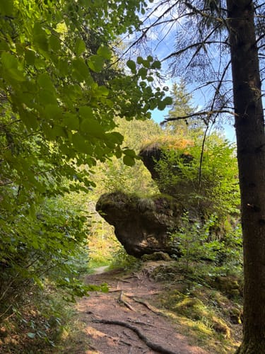 Durchs Klumpertal bei Pottenstein