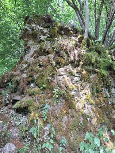 Burg Grimburg und Wadrilltal
