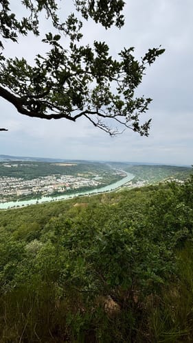 Moseltalschanzen (Moselsteig Seitensprung)