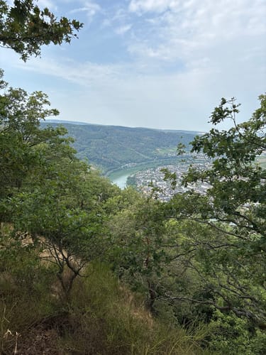 Moseltalschanzen (Moselsteig Seitensprung)