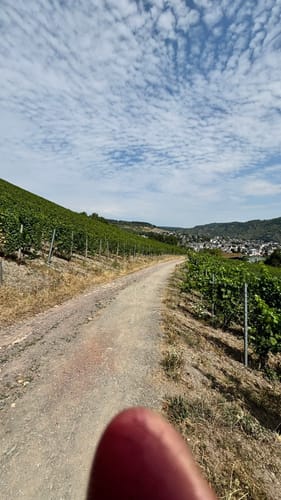 Moseltalschanzen (Moselsteig Seitensprung)