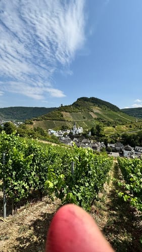 Moseltalschanzen (Moselsteig Seitensprung)