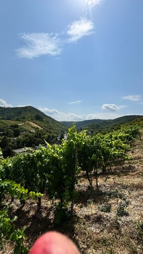 Moseltalschanzen (Moselsteig Seitensprung)