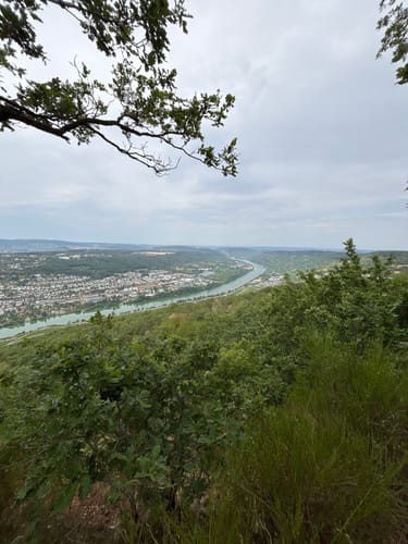 Moseltalschanzen (Moselsteig Seitensprung)