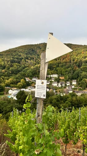 Moseltalschanzen (Moselsteig Seitensprung)