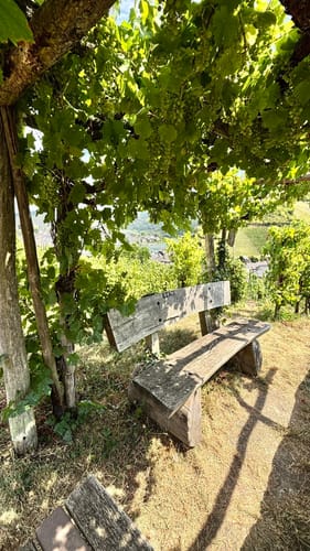 Moseltalschanzen (Moselsteig Seitensprung)