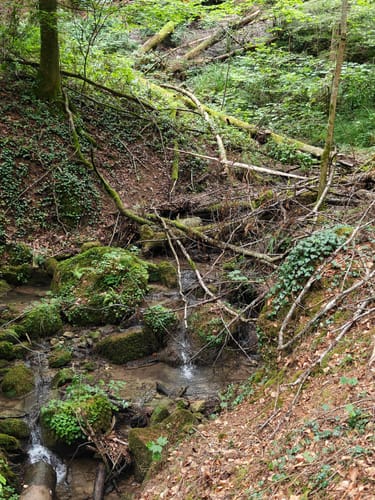 Teufelsschlucht und Keltenhöhle Rundweg