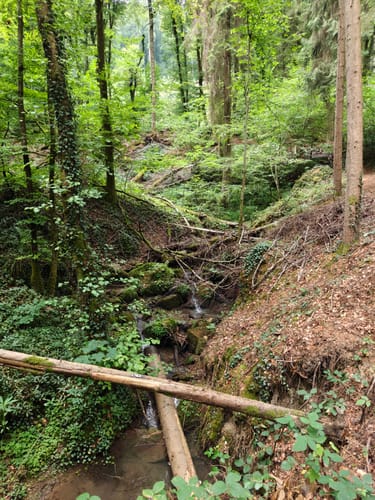 Teufelsschlucht und Keltenhöhle Rundweg