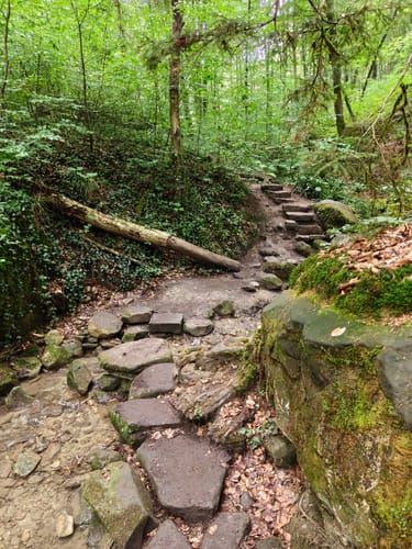 Teufelsschlucht und Keltenhöhle Rundweg