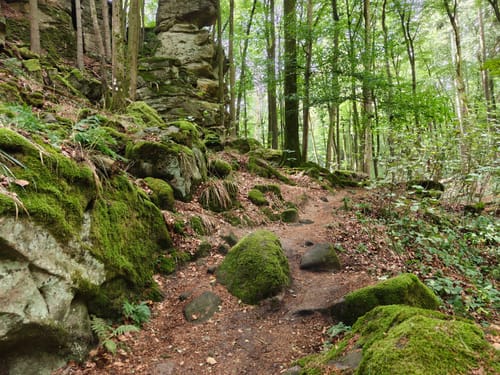 Teufelsschlucht und Keltenhöhle Rundweg