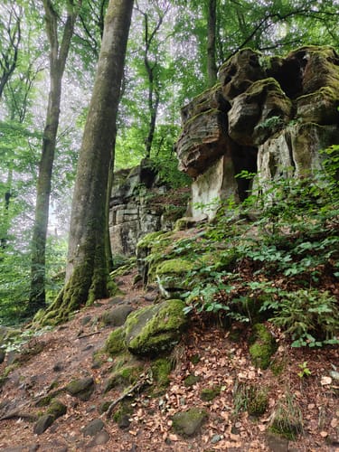 Teufelsschlucht und Keltenhöhle Rundweg