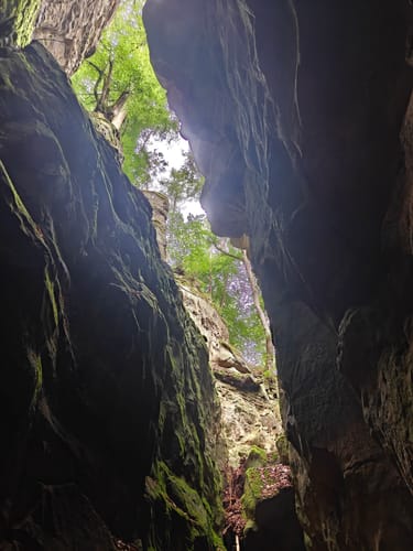 Teufelsschlucht und Keltenhöhle Rundweg