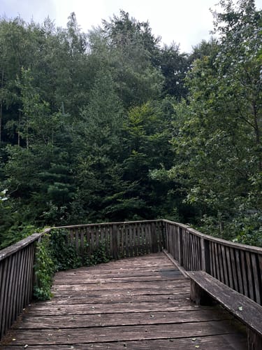 Wildpark Bilsteintal