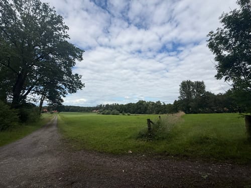 Rundweg am Waldwinkel