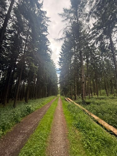 Rundweg am Waldwinkel