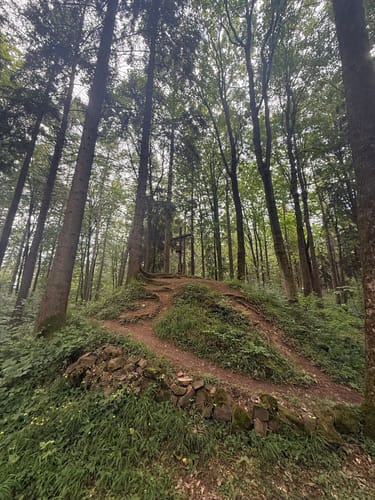 Rundweg am Waldwinkel