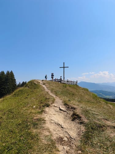 Schiettermoos - Jugetköpfle