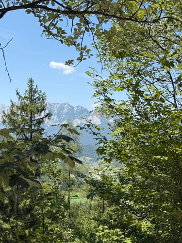 Grünstein Runde