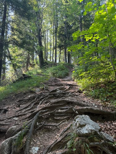 Grünstein Runde