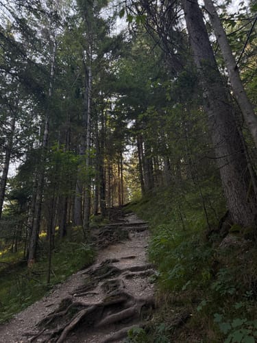 Grünstein Runde