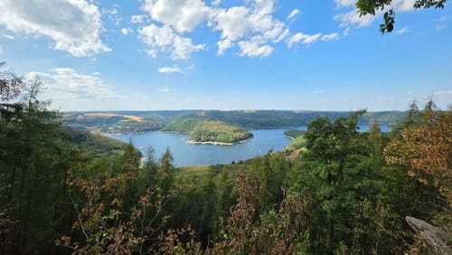 Buchenhallen und Eichenhänge