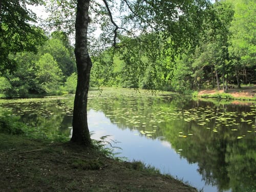 Altschloßpfad (Premiumwanderweg)