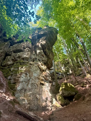 Irrel - Teufelsschlucht Runde