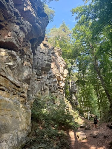 Irrel - Teufelsschlucht Runde