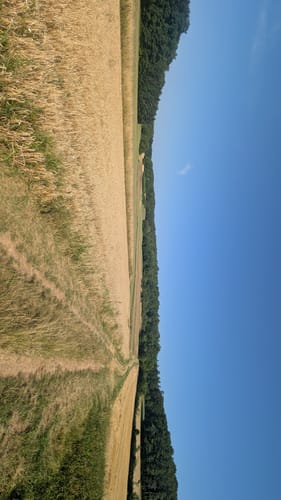 Reisberg ab Leutenbach