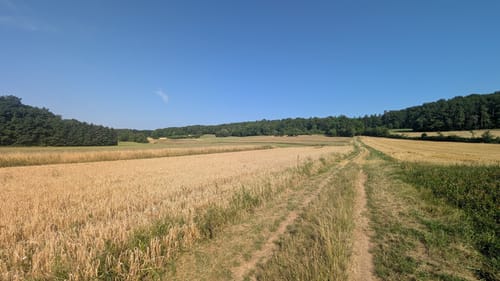 Reisberg ab Leutenbach
