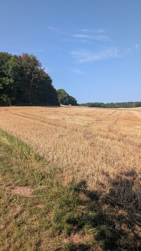 Reisberg ab Leutenbach