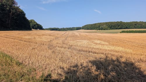 Reisberg ab Leutenbach