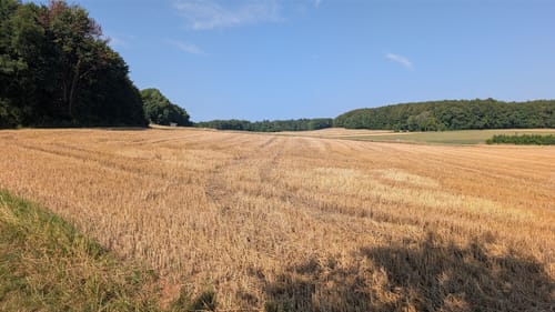 Reisberg ab Leutenbach