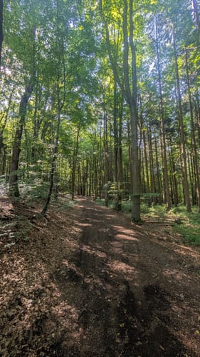 Reisberg ab Leutenbach