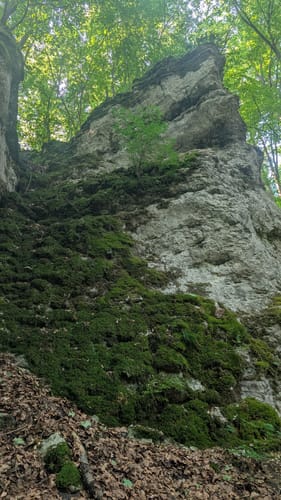 Reisberg ab Leutenbach