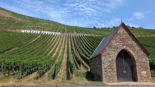 Mosel Radweg Etappe 6: Bernkastel-Kues - Traben-Trarbach