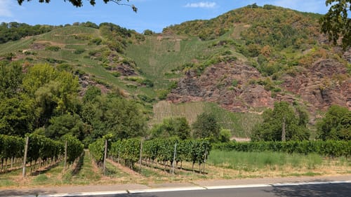 Mosel Radweg Etappe 6: Bernkastel-Kues - Traben-Trarbach