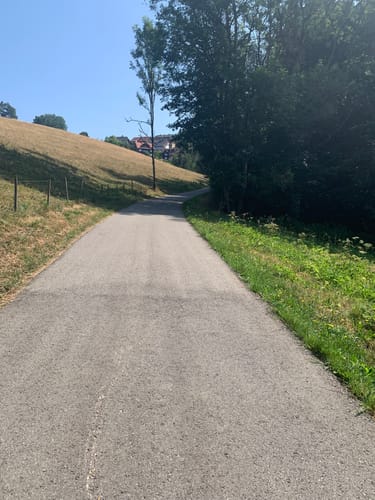 Sankt Märgen Rundweg