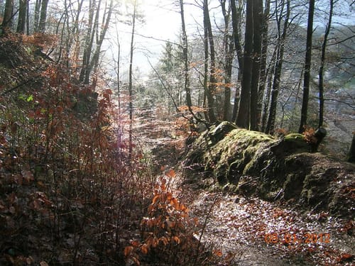 Le Guirsten depuis Bousseviller