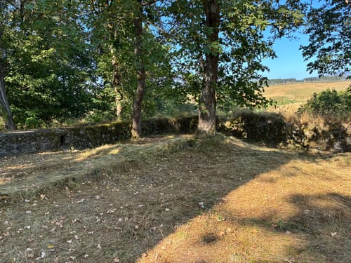 Von Königshütte nach Susenburg