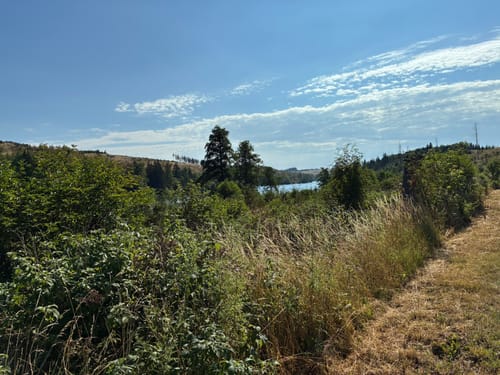 Von Königshütte nach Susenburg