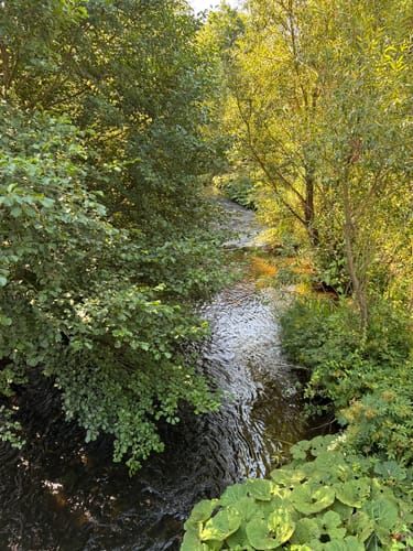 Von Königshütte nach Susenburg