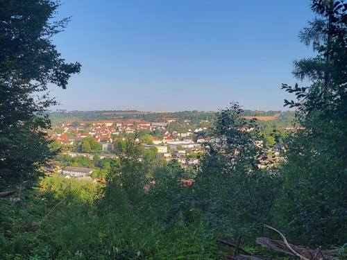 Erlebniswald Fasanerie