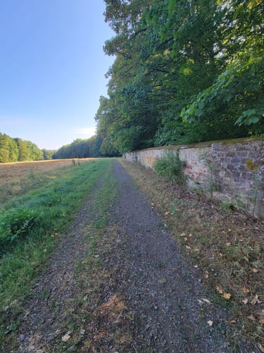 Erlebniswald Fasanerie