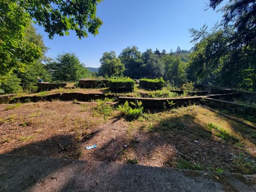 Erlebniswald Fasanerie