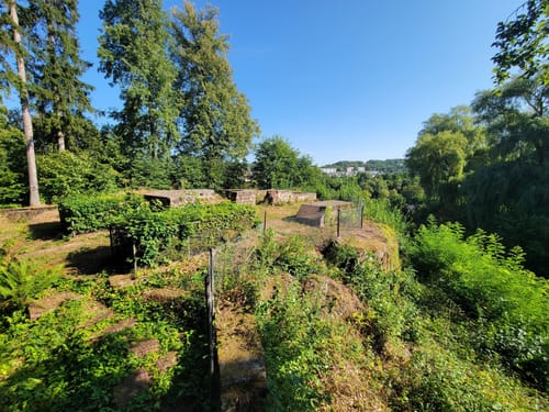 Erlebniswald Fasanerie