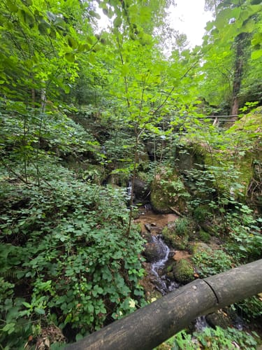 Schnapsbrunnenweg 1